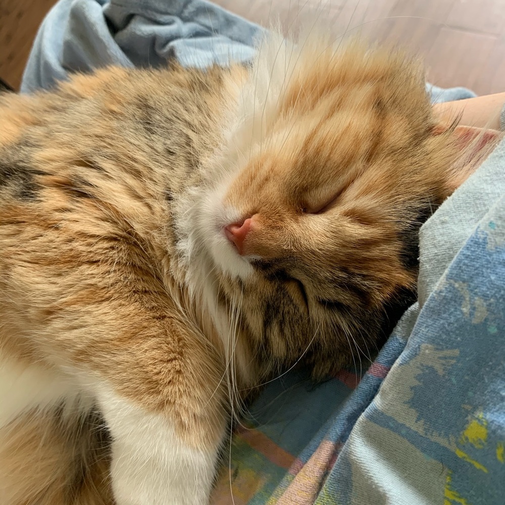 Meet your Posher, June